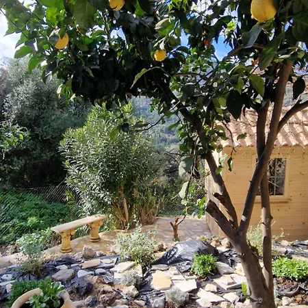 Casa de Férias Eftihia *