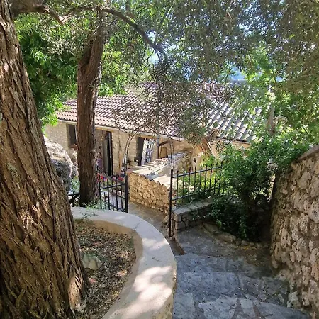 Eftihia Κατούνα